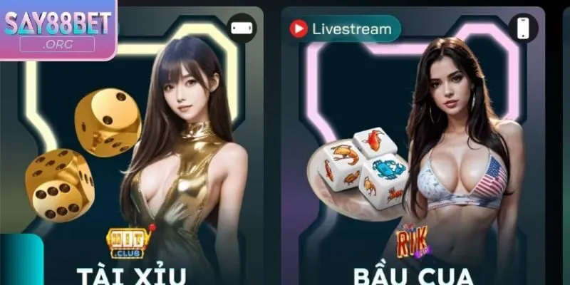 Thông tin giới thiệu về hướng dẫn chơi casino say88