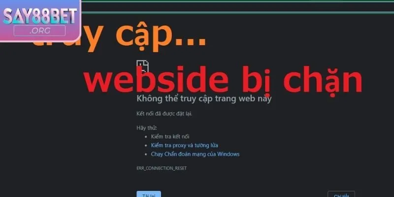 Những phương thức liên hệ với trang web nhanh chóng nhất